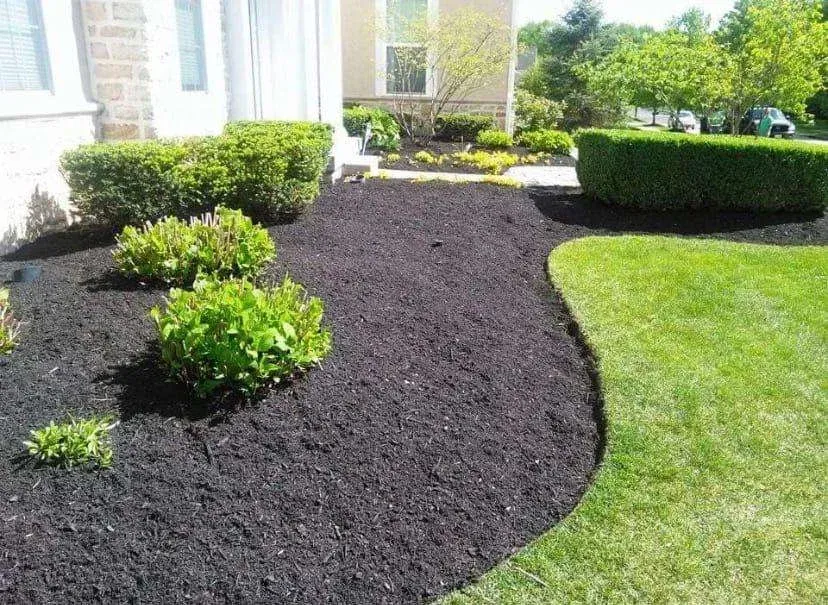 Professional Mulching Service in Boston, MA