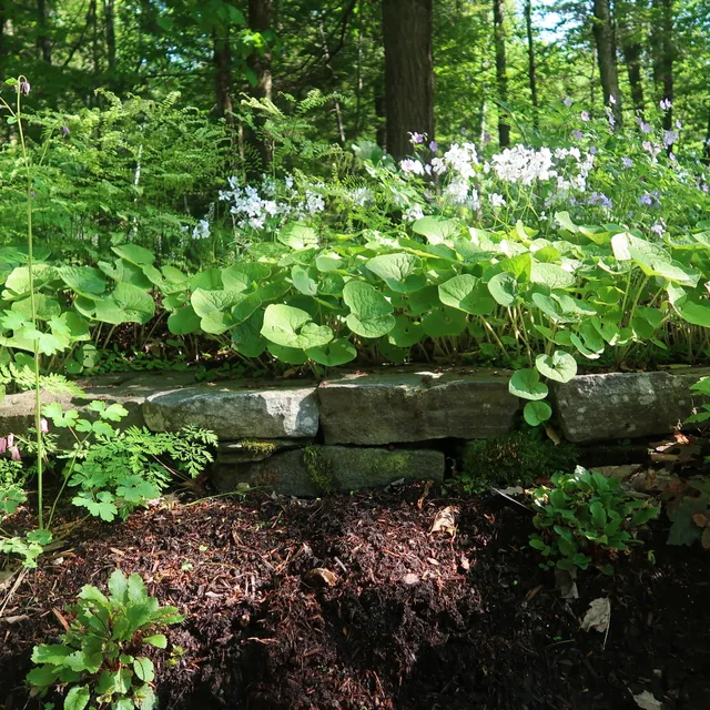 Flying Mammoths Landscape Design work photo