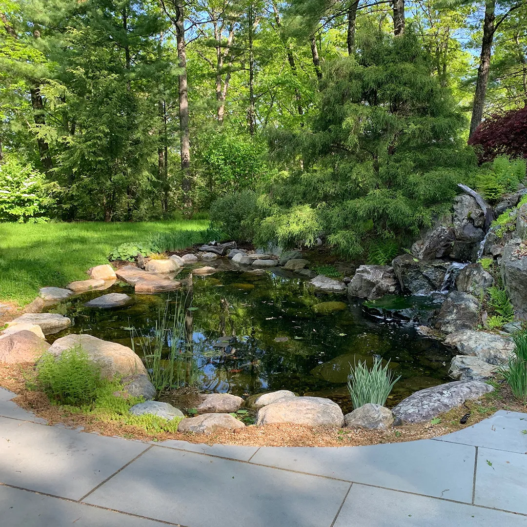 Landscape-Construction