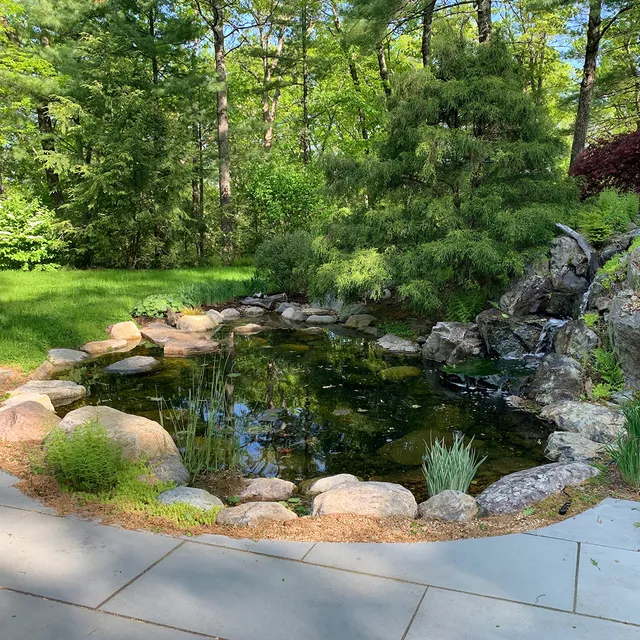 Landscape-Construction