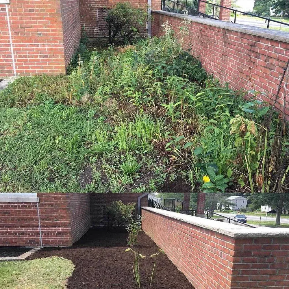 work photo from mccloudlandscaping.com