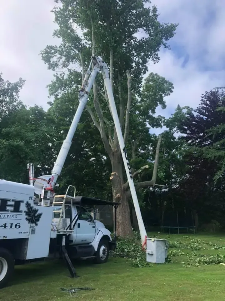 work photo from jdhtreeandlandscaping.com