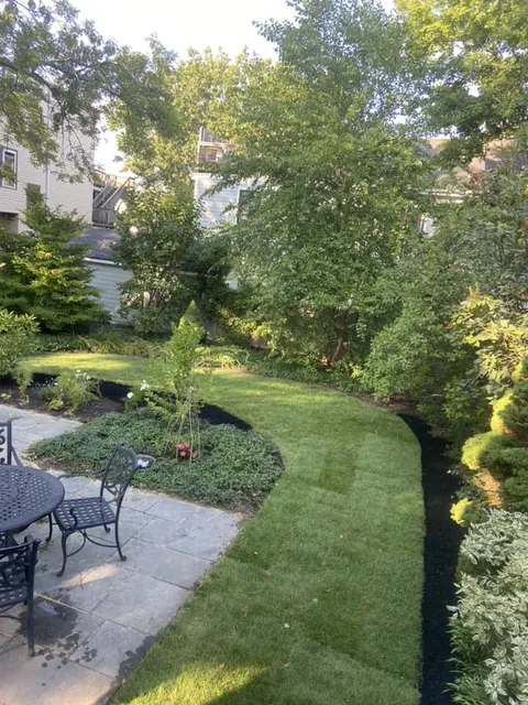 Yard Maintenance image