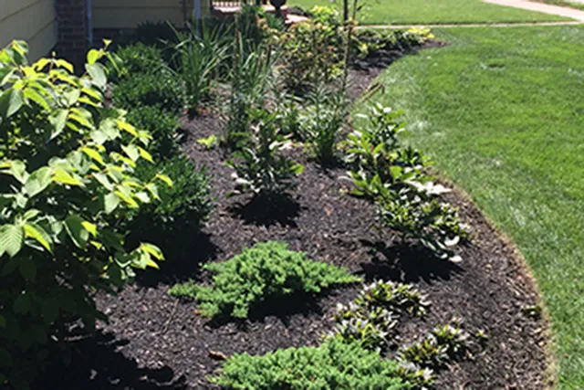 work photo from walsh-landscaping.com