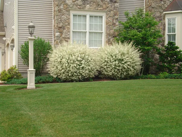 work photo from rmclandscape.com