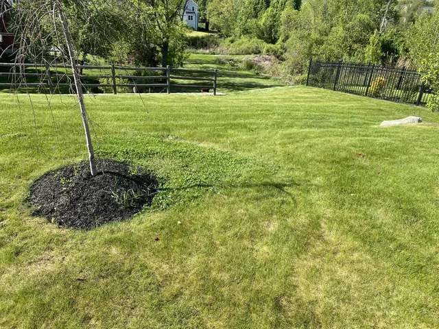 CESAR LANDSCAPING researched project photo