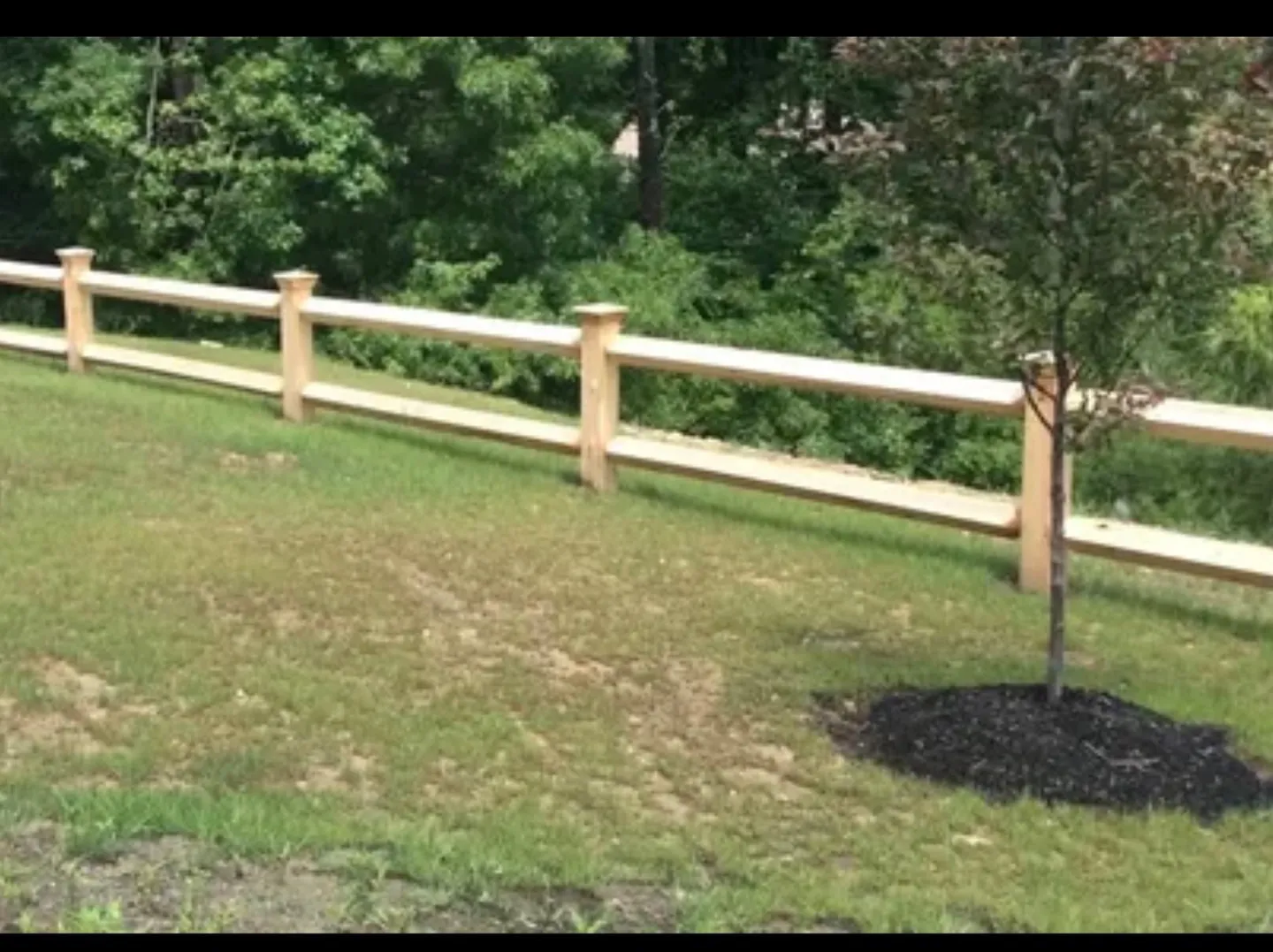 All Fenced In