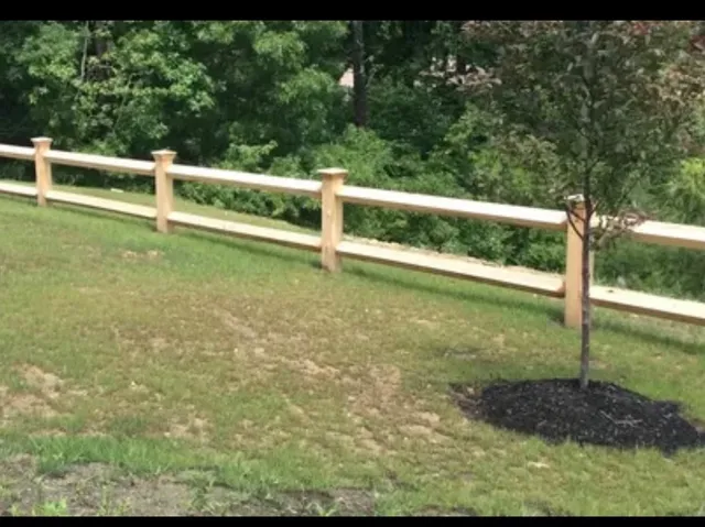 All Fenced In