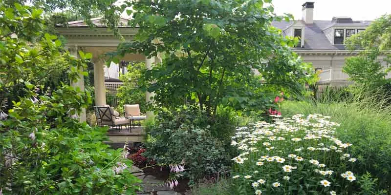 garden street image thumbnail