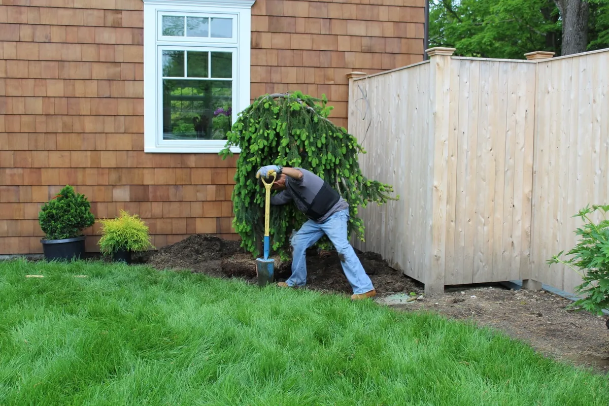 work photo from Google listing