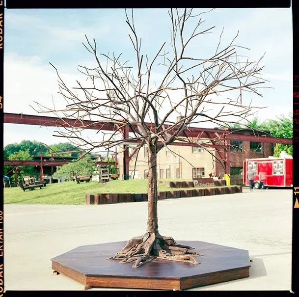 The Public's Radio Donor Tree