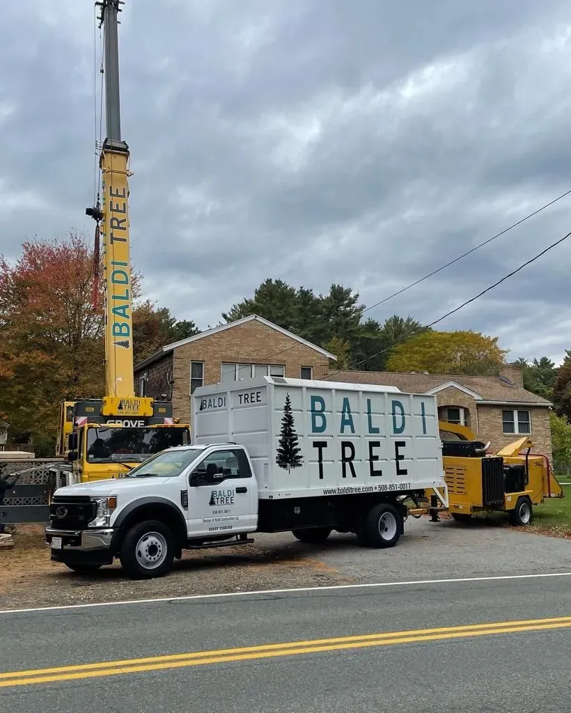 Crane Service
