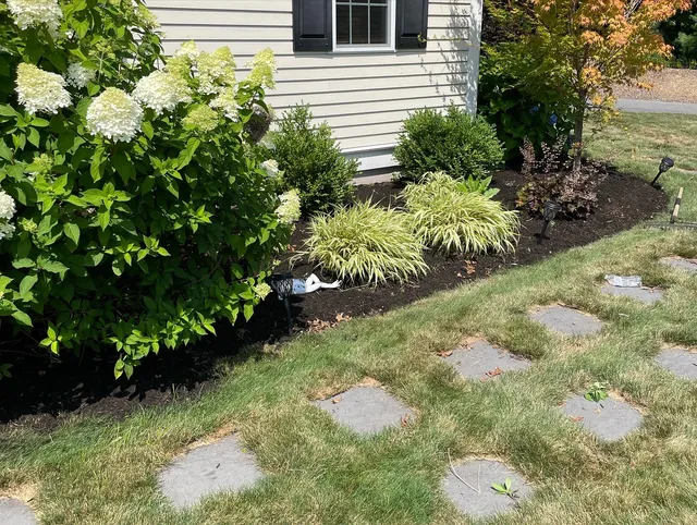 BC Lawn Care LLC work photo