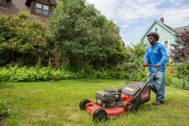 Boston Landscaper, Hedge Trimming Services, Yard Cleanup Services Near Me, Boston Landscapers, Hedge Trimming Service Near Me, Boston Lawn Mowing, Mulch Delivery And Installation.jpg
