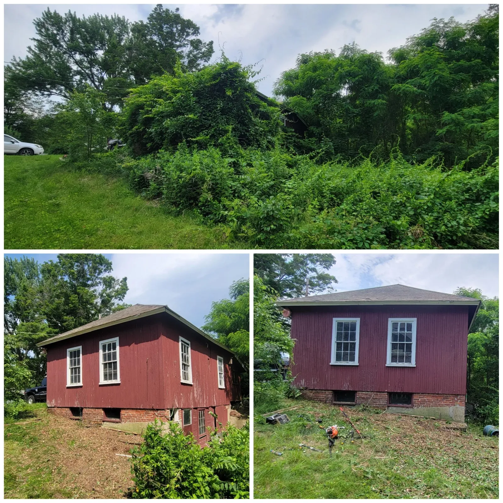Cleared land