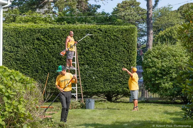 work photo from capecodlandscapecompany.com