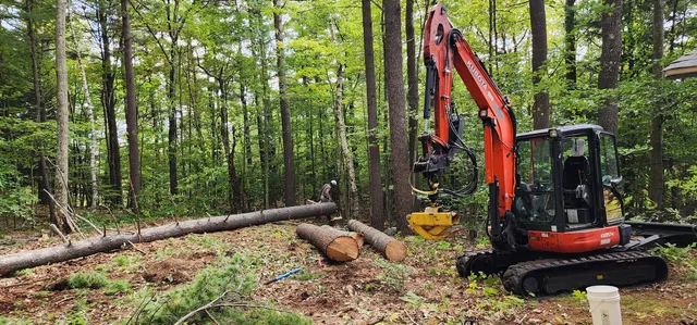Woodies Tree Service work photo