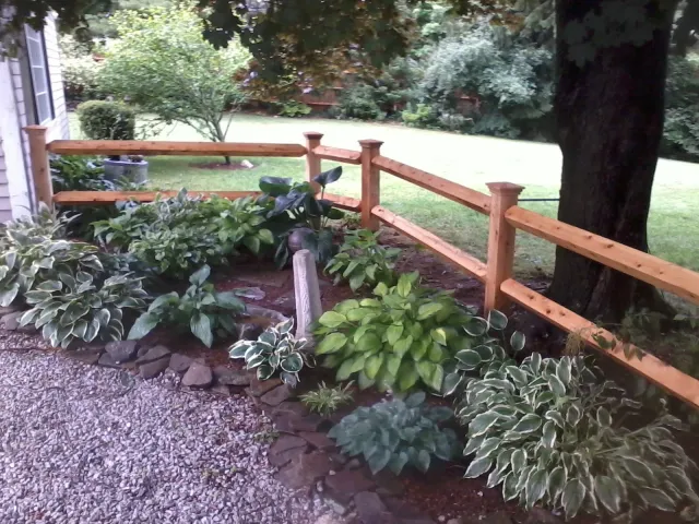 Wood fencing
