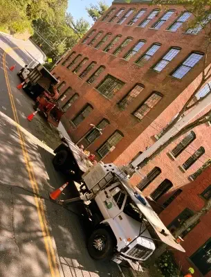 CM Tree Service LLC gallery picture