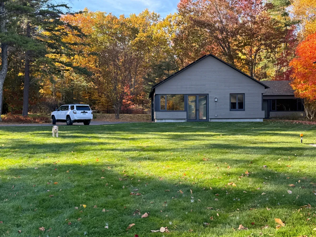 Lush organic lawn