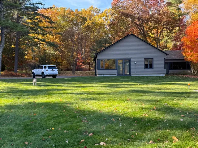 Lush organic lawn
