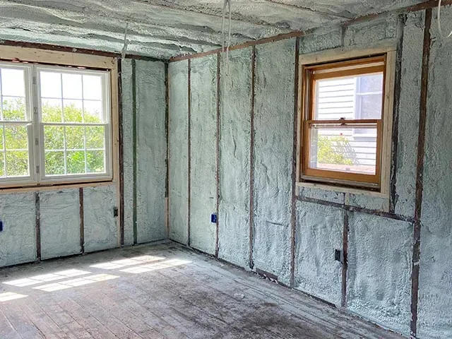 Spray Foam Interior