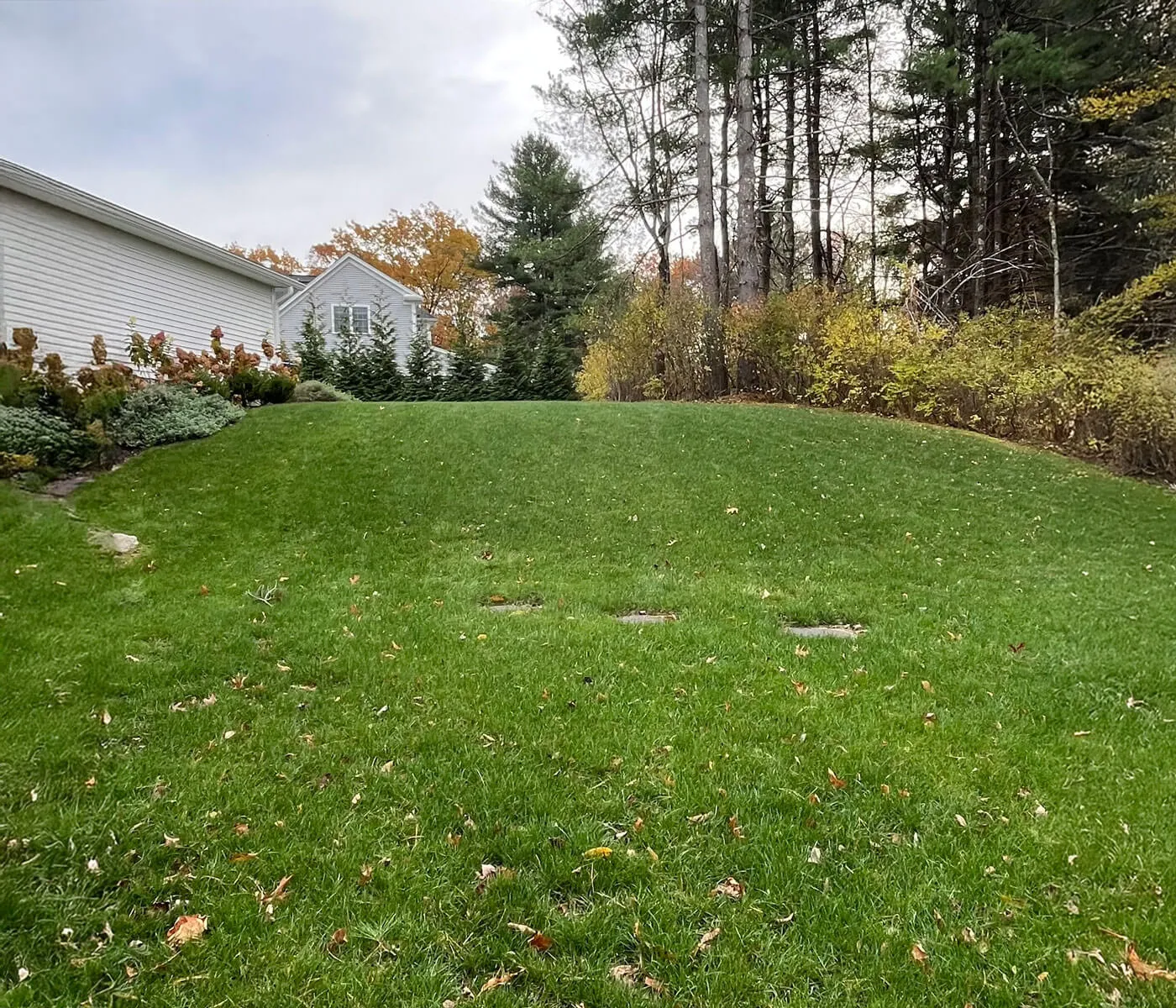 work photo from freshlawncare.com