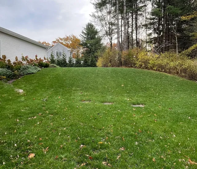 work photo from freshlawncare.com