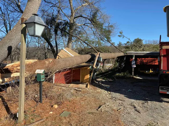 work photo from northsmithfieldtreeservice.com