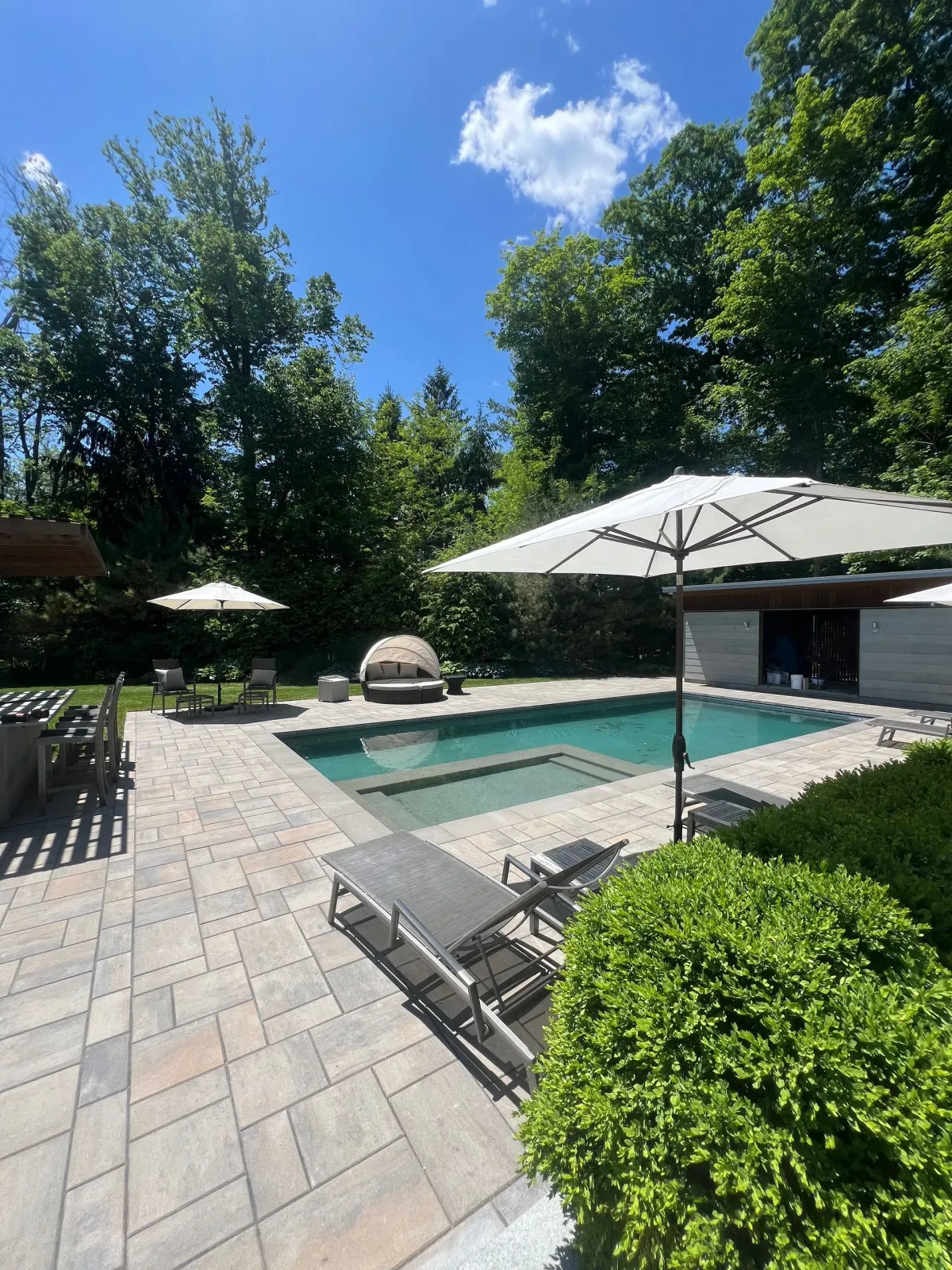 A large swimming pool with umbrellas and chairs in a backyard
