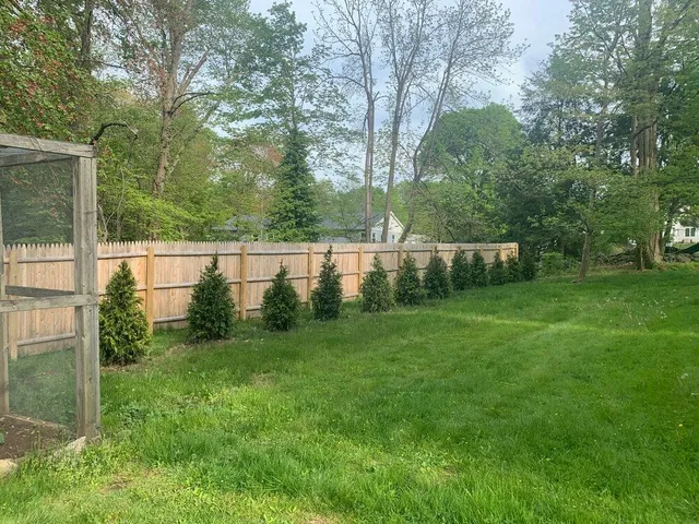 NORTH+ST+PLANTING.jpg