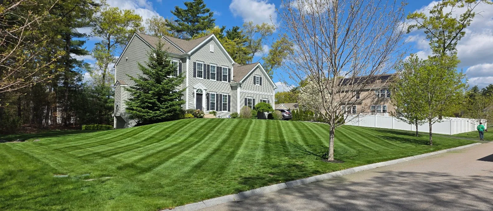 Clear-Cut Landscaping