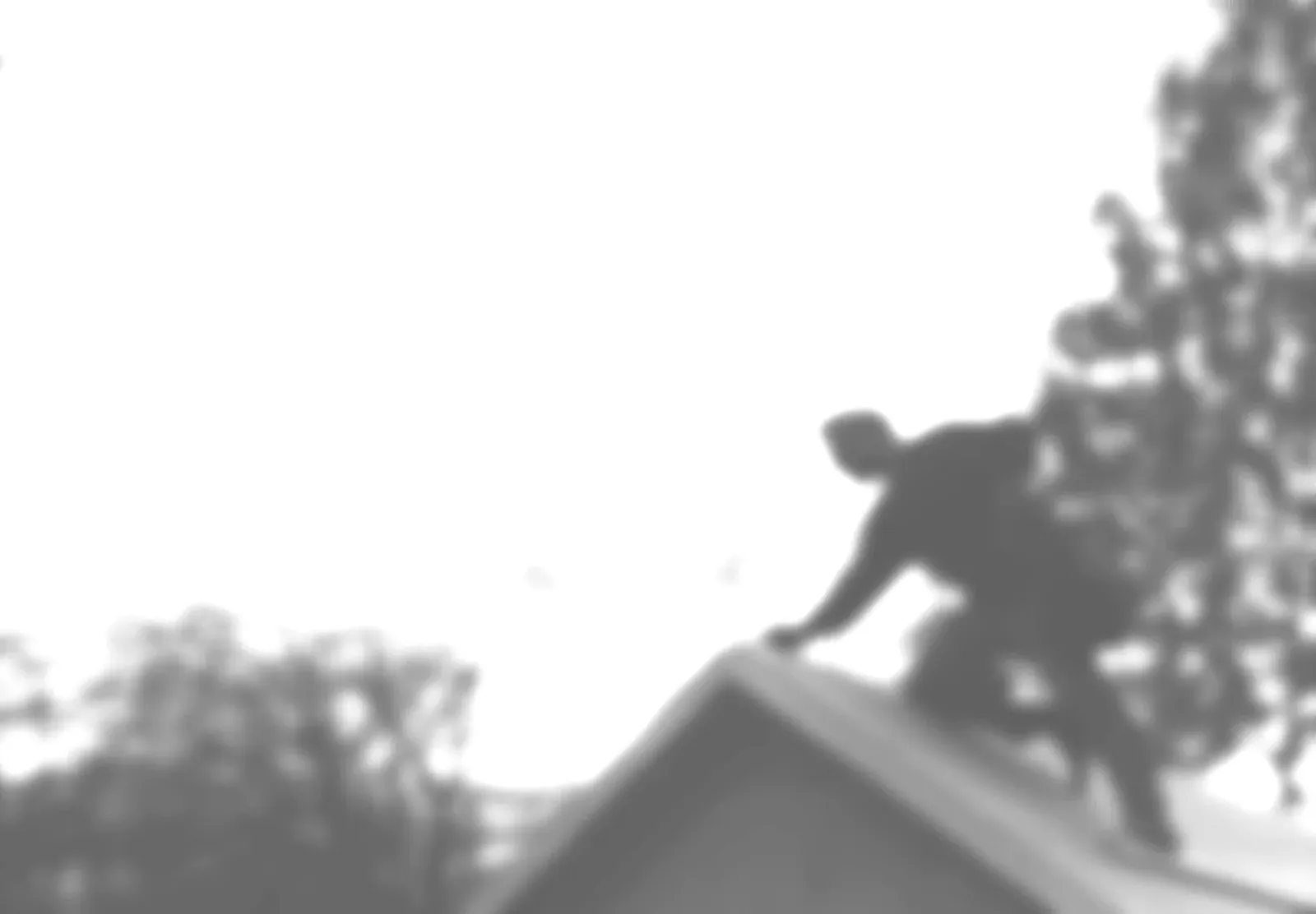 2099945961878878046(1)(1)(1).jpg