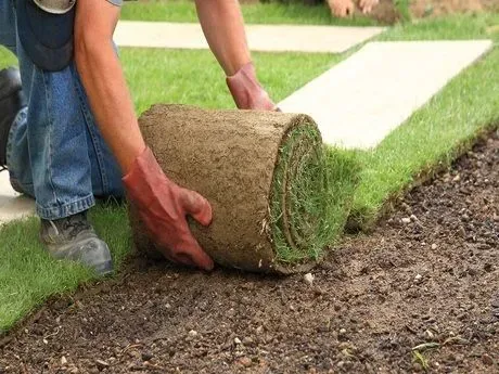 Sod and Lawn Installation