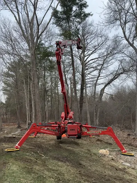 work photo from brendanslandscape.com