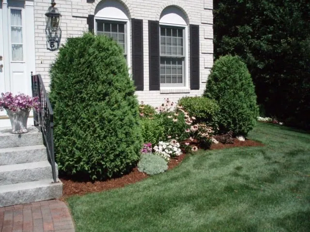 work photo from randalllandscaping.com