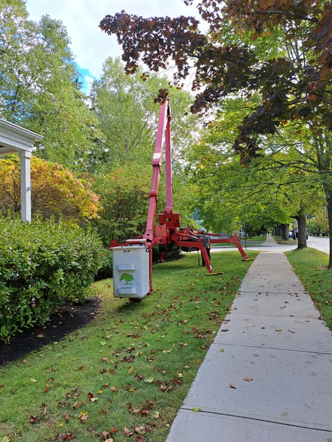 Tree service project photo 1 by New England Tree Service Inc.