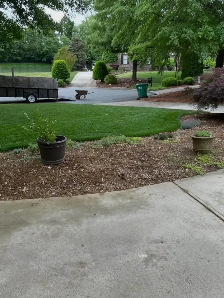 Trustindex feed image, shared by mbggrasshoppers on Instagram on May 14, 2026.