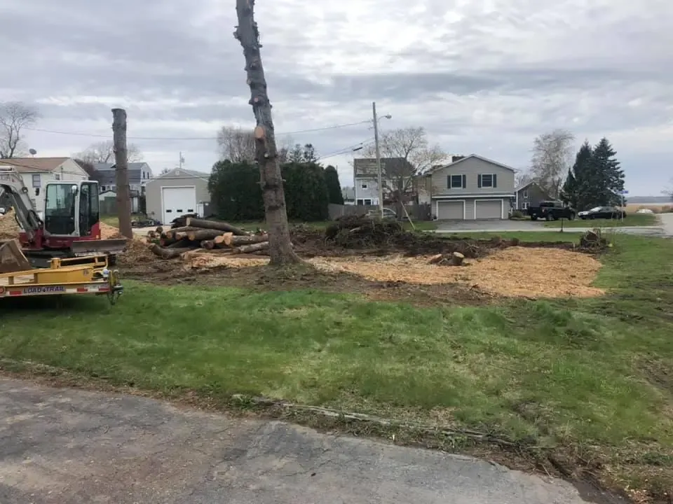 work photo from jdhtreeandlandscaping.com