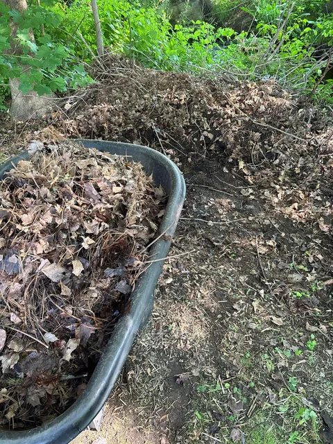 MOWTOWN LANDSCAPING AND JUNK REMOVAL researched project photo