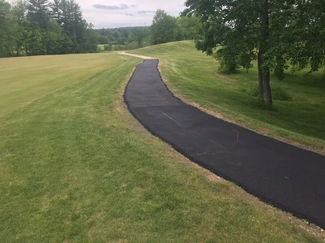 A path going through a grassy field with trees on both sides.