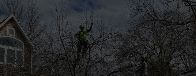 work photo from barretttreeeast.com