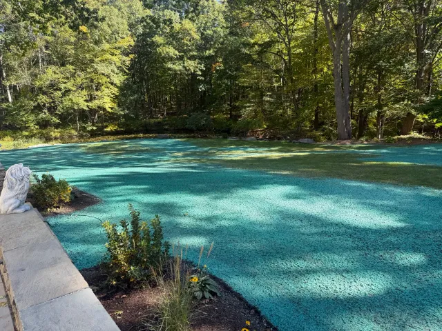 work photo from mrhydroseedlandscaping.com