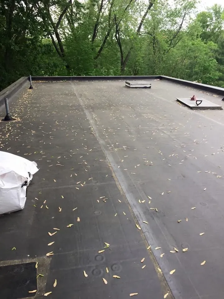 Flat, black roof with some debris on it, with trees in the background.