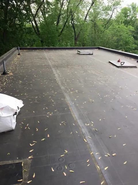 Flat, black roof with some debris on it, with trees in the background.