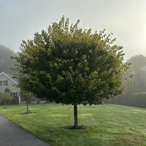 work photo from gardenedenlandscape.com