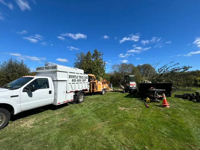 Hustle Tree Care work photo