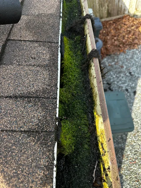 Gutter filled with moss and algae buildup before cleaning
