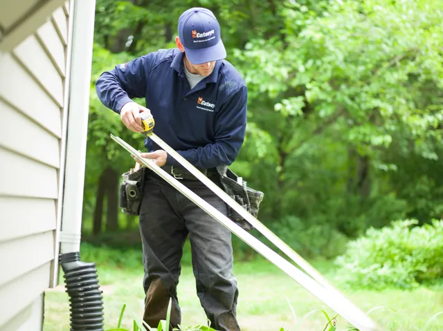 Catseye Pest Control - Hopkinton, MA work photo