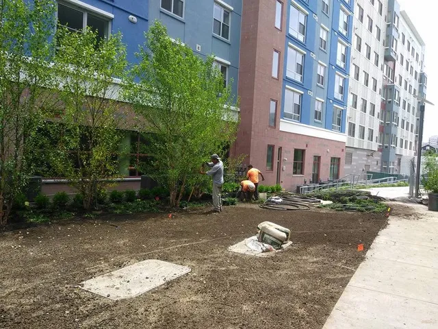 Commercial tree services